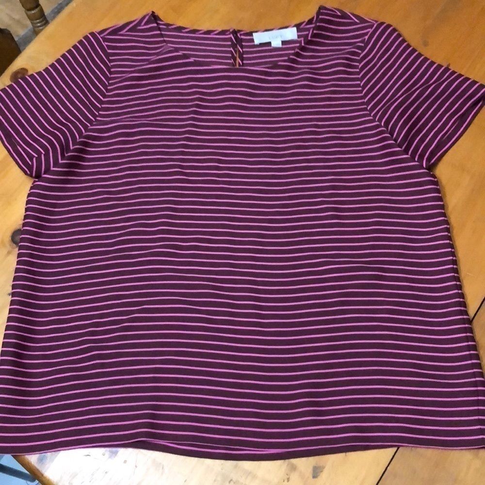Loft top size Large